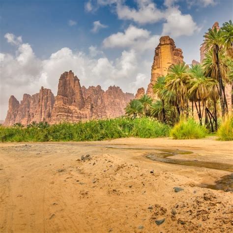 wadi al disah saudi arabia valley travel  path