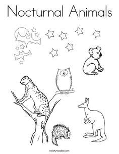 nocturnal animals coloring sheets nocturnal animals party ideas