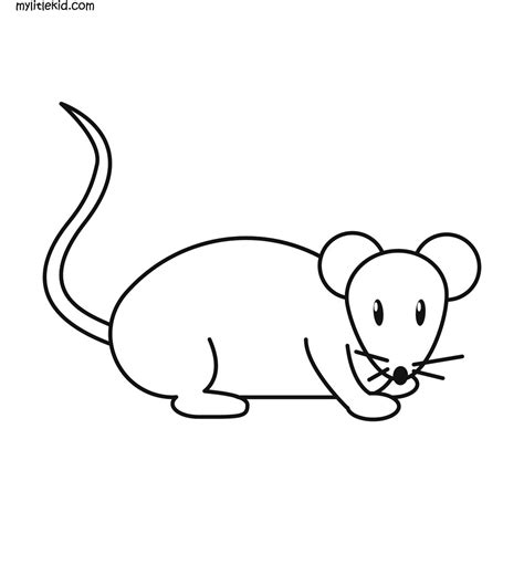 mouse coloring pages  kids print