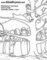 Zacchaeus Spies Colorear Sheet Climbs Dominical Moses sketch template