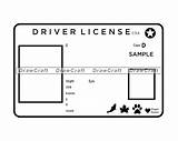Licence sketch template