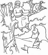 Zacchaeus Coloring Tree Bible Jesus Pages sketch template