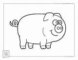 Piggy Kitten sketch template