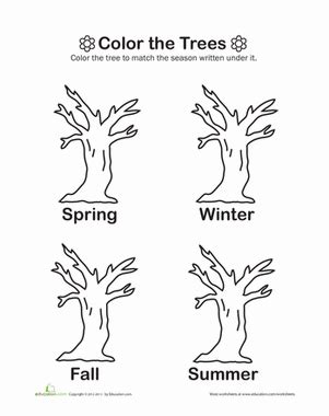 color  trees worksheet educationcom seasons activities fall