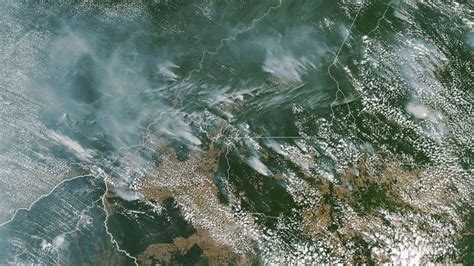 fires  amazon rainforest      year scientists warn abc news