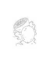 Lime Coloring Pages Lemon Tree Three sketch template