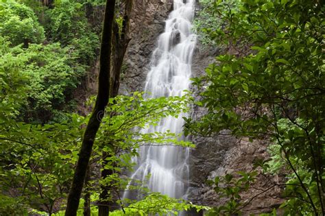 Montezuma Waterfall In Costa Rica Stock Image Image Of