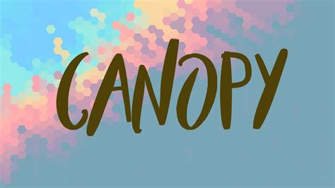 canopy meaning canopy definition  canopy spelling youtube