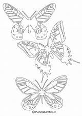 Farfalle Sagome Ritagliare Pianetabambini Stampare Farfalla Fiori Primaverili Bacheca sketch template