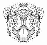 Rottweiler Zentangle Illustration Vector Doodle Stylized Zen Drawn Dog Head Pattern Hand Ornate Preview Getdrawings Drawing sketch template