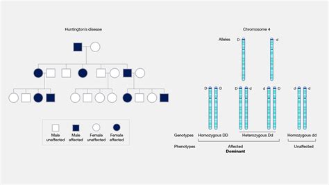 Autosomal Dominant Disorder