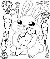 Kelinci Mewarnai Wortel Makan Sketsa Carrot Rabbit Bilby Carrots Diwarnai Printables Anak Tk sketch template