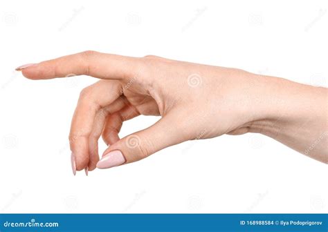 Female Caucasian Hands Isolated White Background Showing Gesture Points