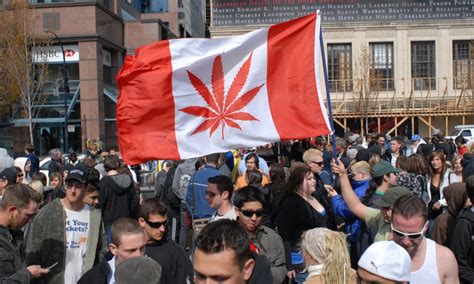 Statistics Show Canadian Weed Smoking Has Not Increased