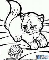 Coloring Cat Pages Yarn sketch template