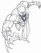 Venom Spider Hulk Branco Sketchite Avengers Colorear24 Getdrawings sketch template