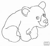 Bear Coloring Pages Cub Cute Bears American Drawing Printable Cartoon Color Supercoloring Getcolorings Getdrawings sketch template