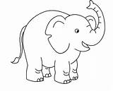 Elephant Coloring Pages Kids Drawing Easy Colouring Preschool Printable Mandala Circus Color Colour Elephants Animal Animals Sketch Print Drawings Getcolorings sketch template