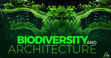 biodiversity  architecture building today   future