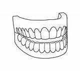 Teeth Coloring Pages Mouth Printable Tooth Drawing Vampire Colouring Smile Dental Realistic Sheets Dentist Print Getcolorings Easy Getdrawings Color Gif sketch template