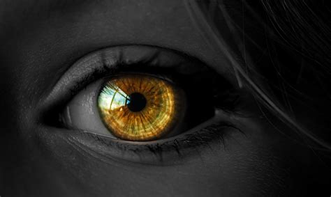 eyes  unenchanted humans glow  mystic investigations
