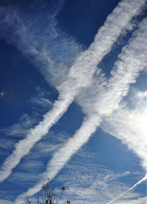 scientists     chemtrails conspiracy theory   york