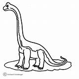 Brachiosaurus Coloring Dino Pages Printable Color Gif Dinosaurs sketch template