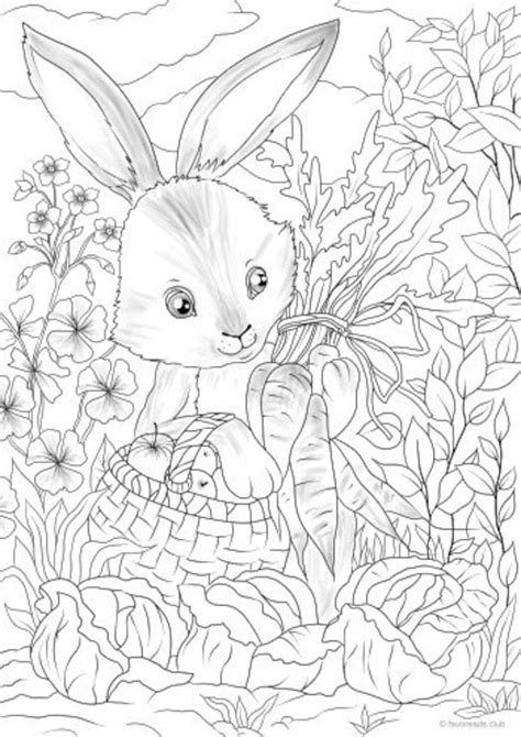 bunny printable adult coloring page  favoreads coloring etsy