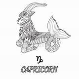 Capricornio Steinbock Capricorn Malvorlage Zodiaco Vektoren Zentangle Signo Elemento sketch template