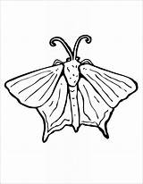 Moth Coloringbay Coloringhome Miraculous Killer sketch template