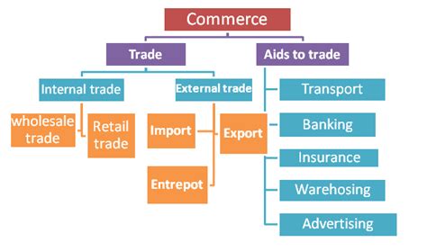 concept  commerce management education