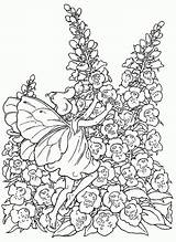 Coloring Pages Fairy Alphabet Adult Volwassenen Fairies Voor Printable Flower Sheets Adults Elfjes Choose Board Alfabet Kleuren Garden sketch template