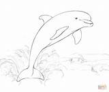 Delfin Dolphin Jumping Delfine Ausdrucken Delfino Ausmalen Ausmalbild Springt Salta Delfini Dolfijnen Dolphins Supercoloring Whale sketch template