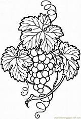 Grape Coloring Pages Grapes Printable Vine Drawing Vines Painting Designs Glass Fall Outline Food Coloringpages101 Fruit Clip Fruits Color Clipart sketch template