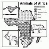 Coloring Animals Africa African Pages Habitat Vegetation Zone Chart Science Life Library Clipart sketch template