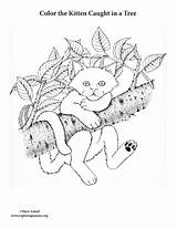 Tree Coloring Kitten Caught sketch template