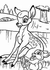 Bambi Thumper Pages Coloring Getdrawings Getcolorings sketch template