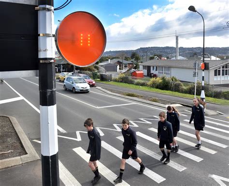 worries ease  crossing  pedestrian alert trialled otago daily times  news