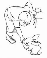 Coloring Pages Feeding Rabbit Carrot Pet Pets Bunny Printable Outline Animal Kids Carrots Animals Honkingdonkey Boy Drawing Activity Gif Popular sketch template