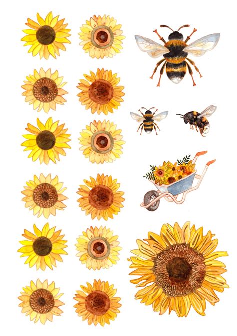 sunflower printables artofit