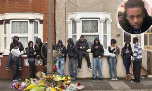 edmonton  london suburb hijacked  gangs daily mail