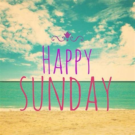 happy sunday hd  sunday quotes funny weekend quotes happy