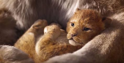 The Live Action Lion King Trailer Has Been Released Harper S Bazaar