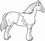 Caballo Cavalos Gratuitamente Niñas Caballos Ninos sketch template