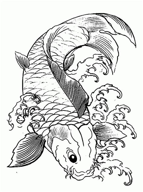 koi fish coloring pages clip art library