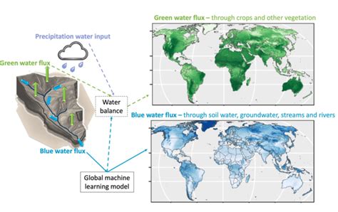 earth global patterns  water flux partitioning irrigated