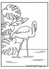 Flamingos Iheartcraftythings sketch template