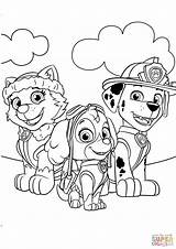 Coloring Zuma Patrol Paw Pages Marshall Everest Printable Getcolorings sketch template