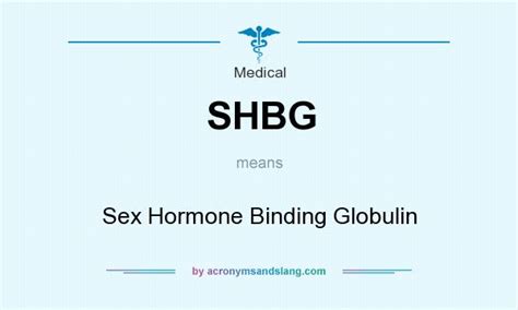 shbg sex hormone binding globulin in medical by