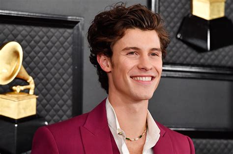 shawn mendes drops surprise deluxe edition   stream